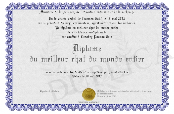 Le chat chapeauté entier et francais youtube